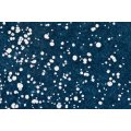 WOW! Embossing Powder - Tschenny's Sky - Alexandra Renke
